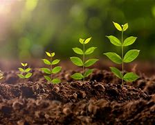 grow apart